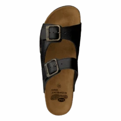 Scholl Moldava AD Black