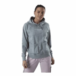 Nike Nsw Swoosh Hoodie Ft Grey