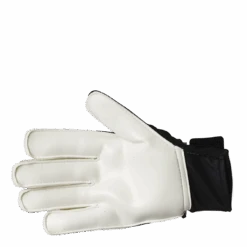 ADIDAS Tiro Gl Clb White / Black -BJØRN BORG kauppa 09449 73 003