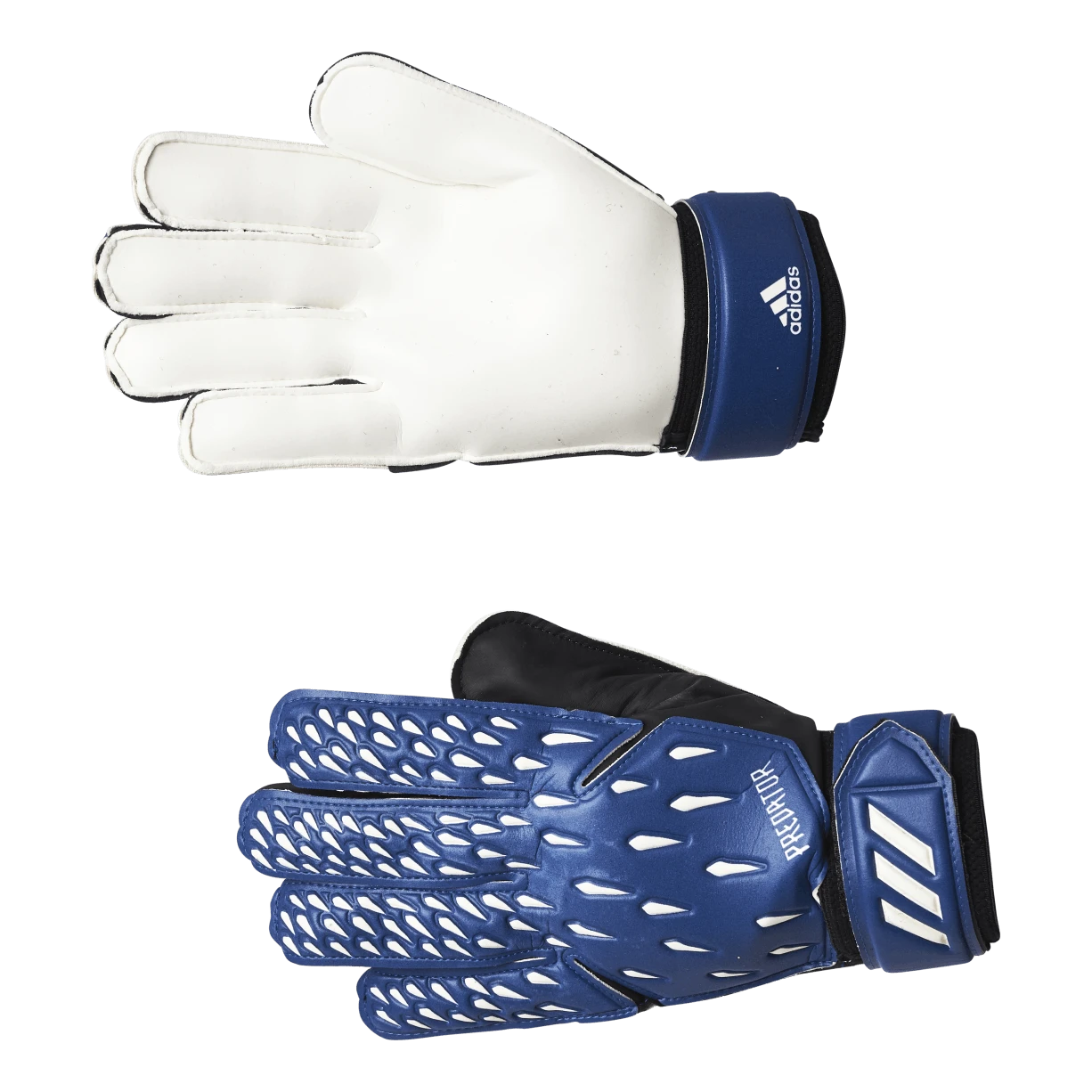 ADIDAS Pred Gl Trn Team Royal Blue / White / Black 3 ADIDAS Pred Gl Trn Team Royal Blue / White / Black