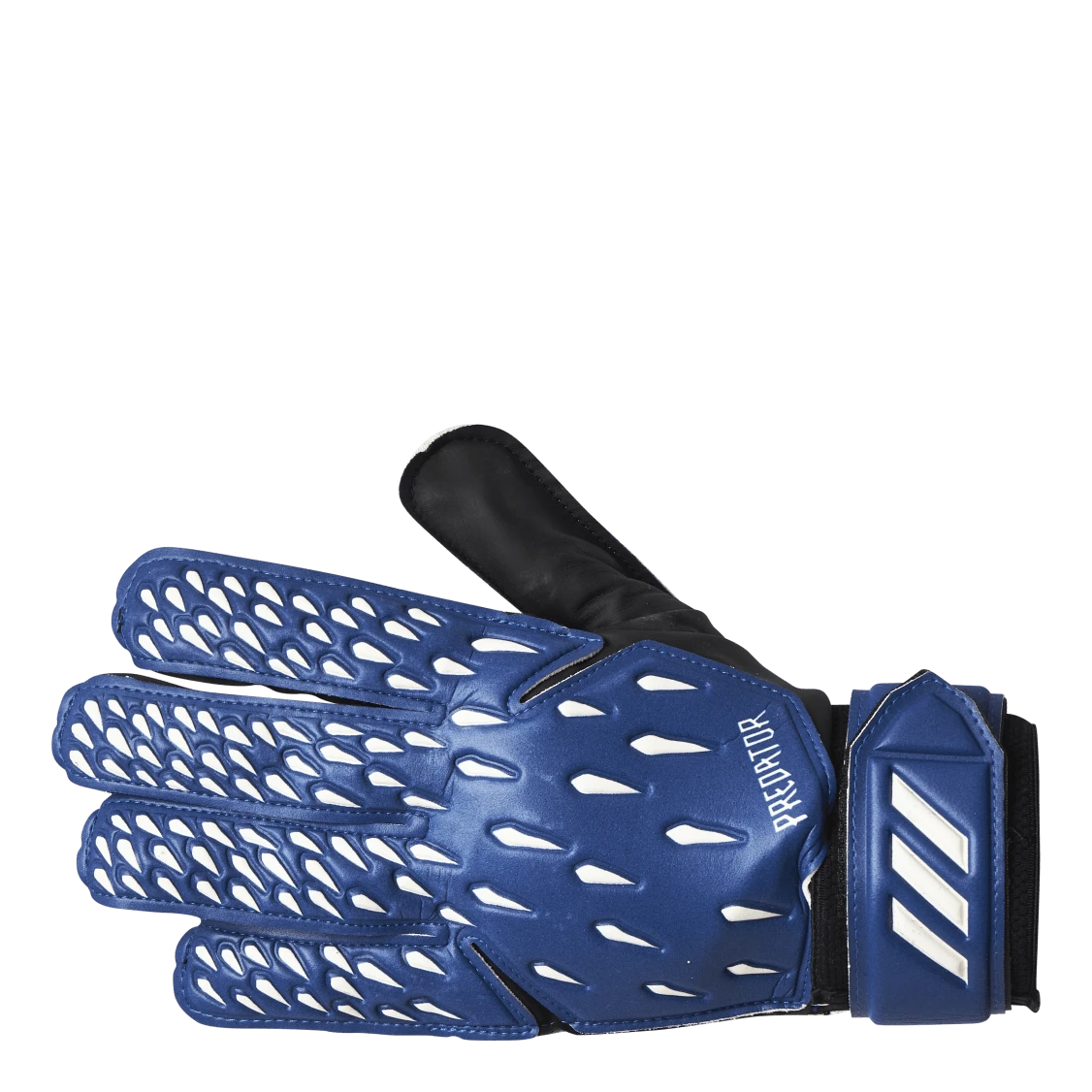 ADIDAS Pred Gl Trn Team Royal Blue / White / Black 4 ADIDAS Pred Gl Trn Team Royal Blue / White / Black - Image 2