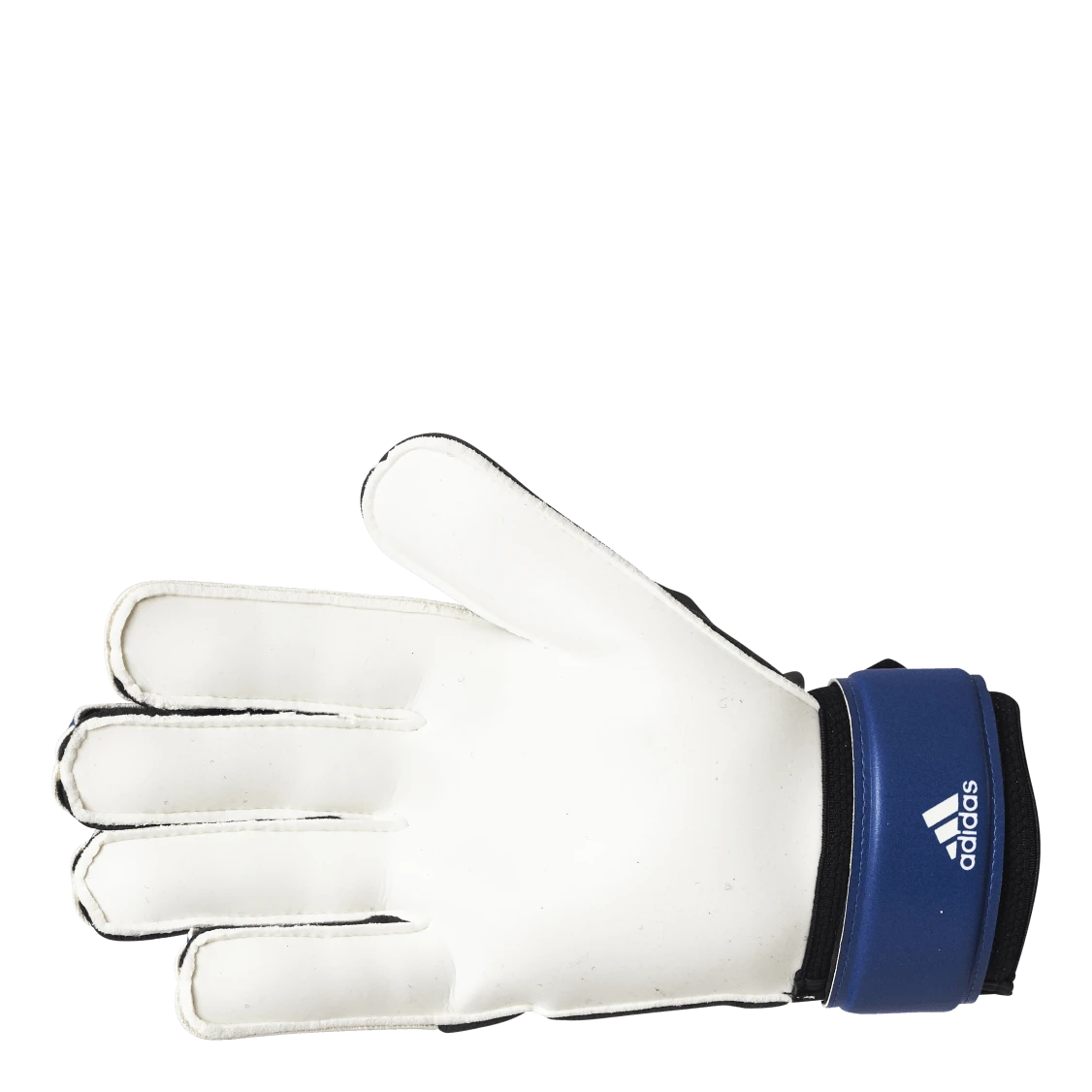 ADIDAS Pred Gl Trn Team Royal Blue / White / Black 5 ADIDAS Pred Gl Trn Team Royal Blue / White / Black - Image 3