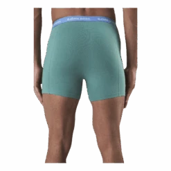 BJØRN BORG Sammy Leafy 5-Pack Blue/Green -BJØRN BORG kauppa 09467 13 016