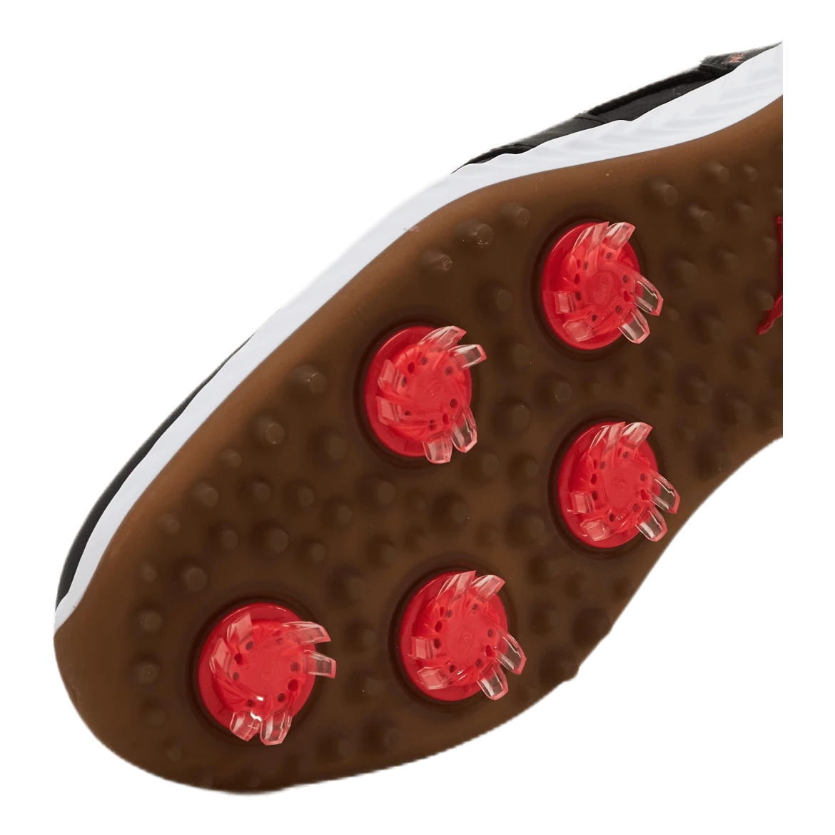 PUMA Golf Ignite Pwradapt Caged Crafted Black 8 PUMA Golf Ignite Pwradapt Caged Crafted Black - Image 6