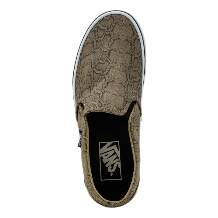 Vans Asher Patterned 7 Vans Asher Patterned - Image 5