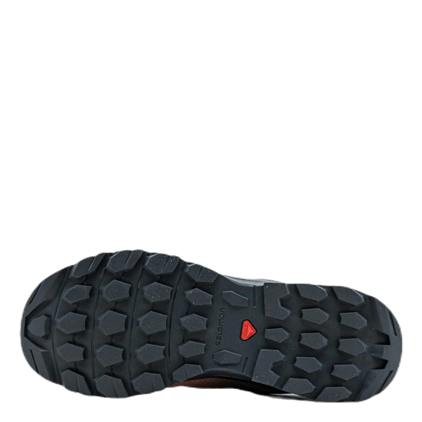 Salomon Vaya GTX Pink 6 Salomon Vaya GTX Pink - Image 4