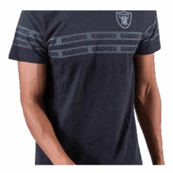 NEW ERA NFL Tonal Tee Oakrai Grey -BJØRN BORG kauppa 193648033452 007 4d226131fd64428594043392ea7f911f