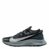 Nike Pegasus Trail 2 Black/Grey