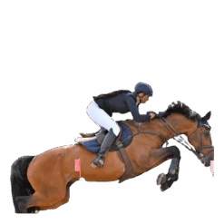 FIR-Tech Healing Senskydd Black