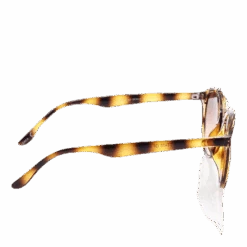 Scala Brown -BJØRN BORG kauppa 5711176169235 006 a69b9b38e163493db904131dbc3db01b