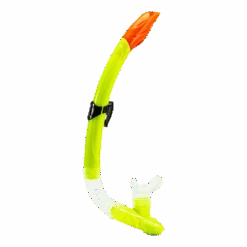 Cruz Hani Faru Sr. Diving Set Black -BJØRN BORG kauppa 5712119951320 004 63e48e1e446843d182f78c041dafd53c