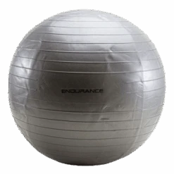 Endurance Gym Ball 65 CM Silver