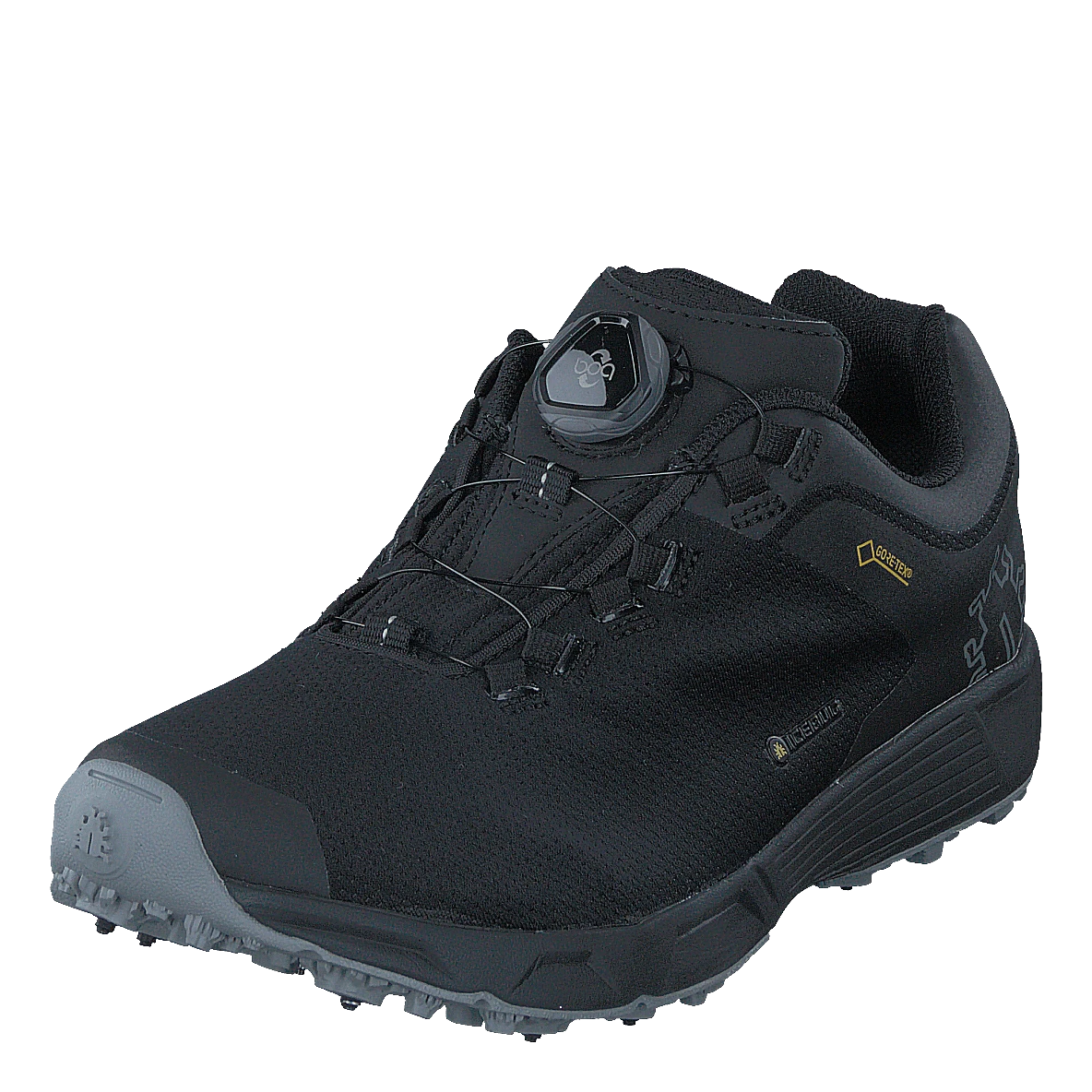 Icebug DTS3 W BUGrip® GTX Carbon/Black 5 Icebug DTS3 W BUGrip® GTX Carbon/Black - Image 3