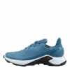 Salomon Alphacross 3 Gtx W Bluestone/wht/mallard Blue