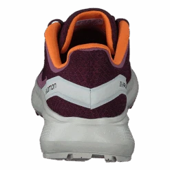 Salomon Impulse W Grape Wine/rainy Day/vibrant O -BJØRN BORG kauppa 60654 38
