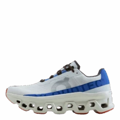 Cloudmonster Men Frost/cobalt