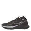 Nike React Pegasus Trail 4 GORE-TEX Men's Waterproof Trail Running Shoes BLACK/WOLF GREY-REFLECT SILVER 1 Nike React Pegasus Trail 4 GORE-TEX Men's Waterproof Trail Running Shoes BLACK/WOLF GREY-REFLECT SILVER -BJØRN BORG kauppa 60782 17 001