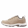 Halti Retki Low Dx Men Cobblestone Beige