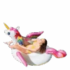 Intex Unicorn Ride-on Pink/White 2 Intex Unicorn Ride-on Pink/White -BJØRN BORG kauppa 6941057407456 002 3b953d9efc134e518d866d7883fb59a5