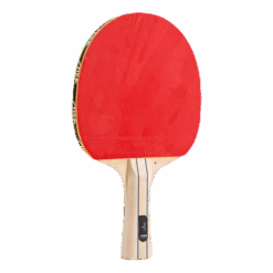 Stiga Set Salty Patterned -BJØRN BORG kauppa 7318688020498 003 9b18d7528acd429ebc9dd04f216ed920