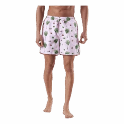 DEDICATED Sandhamn Coconuts Pink